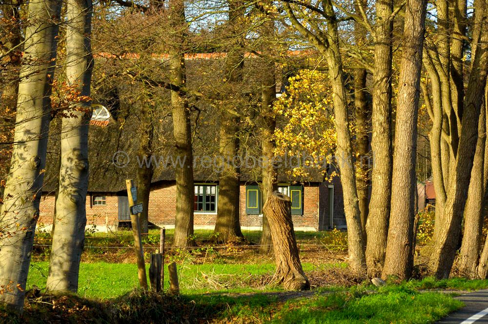 leuvenum_0132.jpg