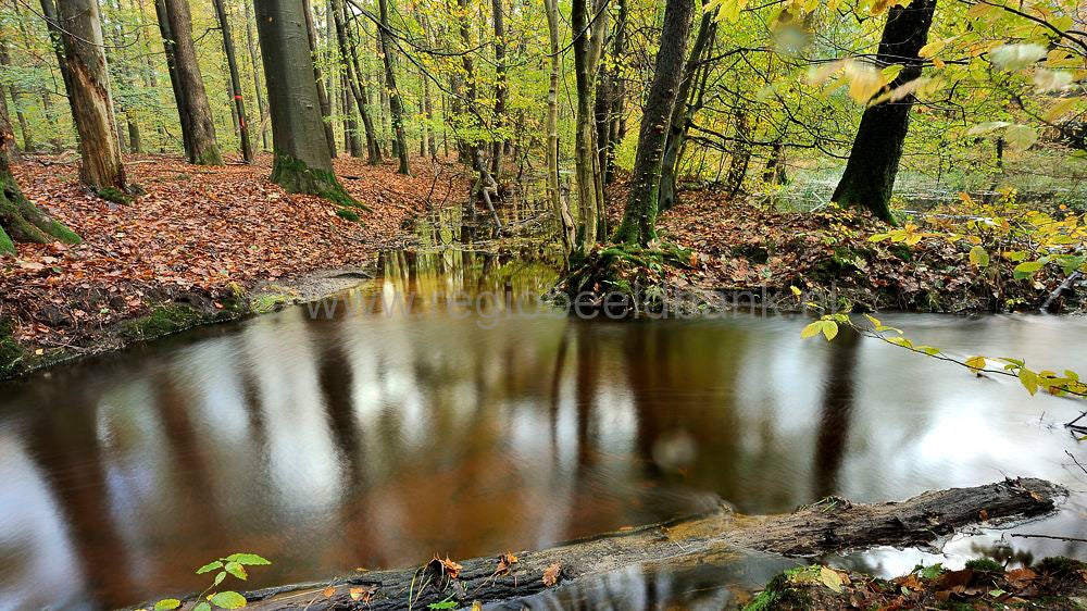 leuvenumsebeek_009.jpg