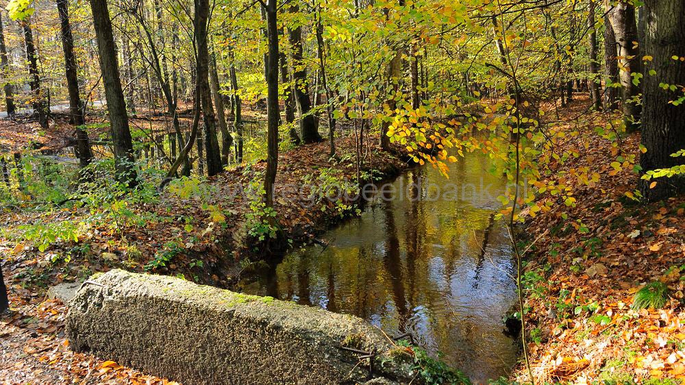 leuvenumsebeek_011.jpg