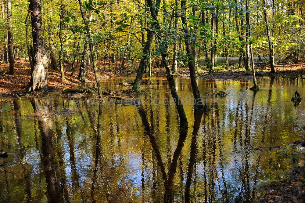 leuvenumsebeek_012.jpg