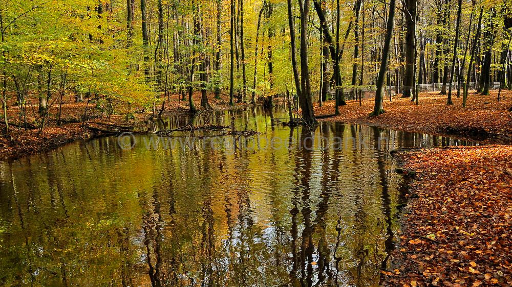 leuvenumsebeek_020.jpg