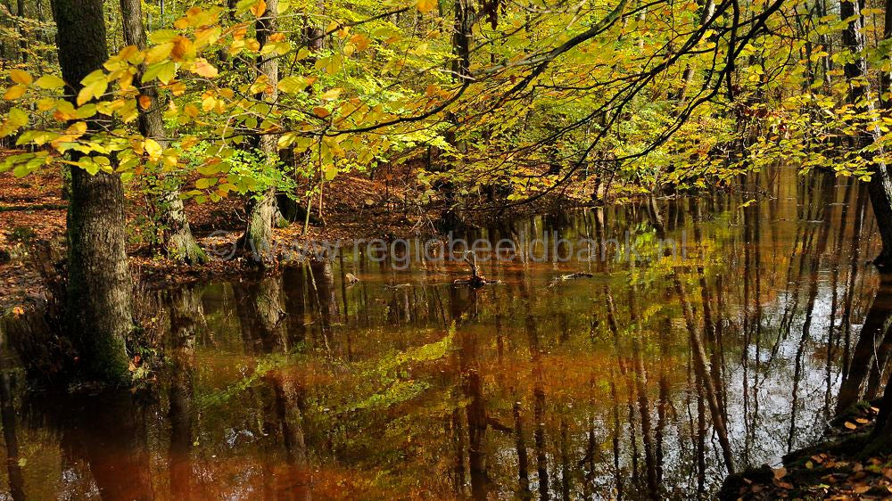 leuvenumsebeek_022.jpg
