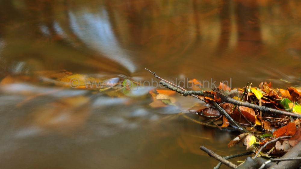 leuvenumsebeek_028.jpg