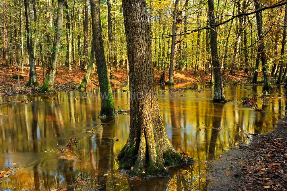 leuvenumsebeek_032.jpg