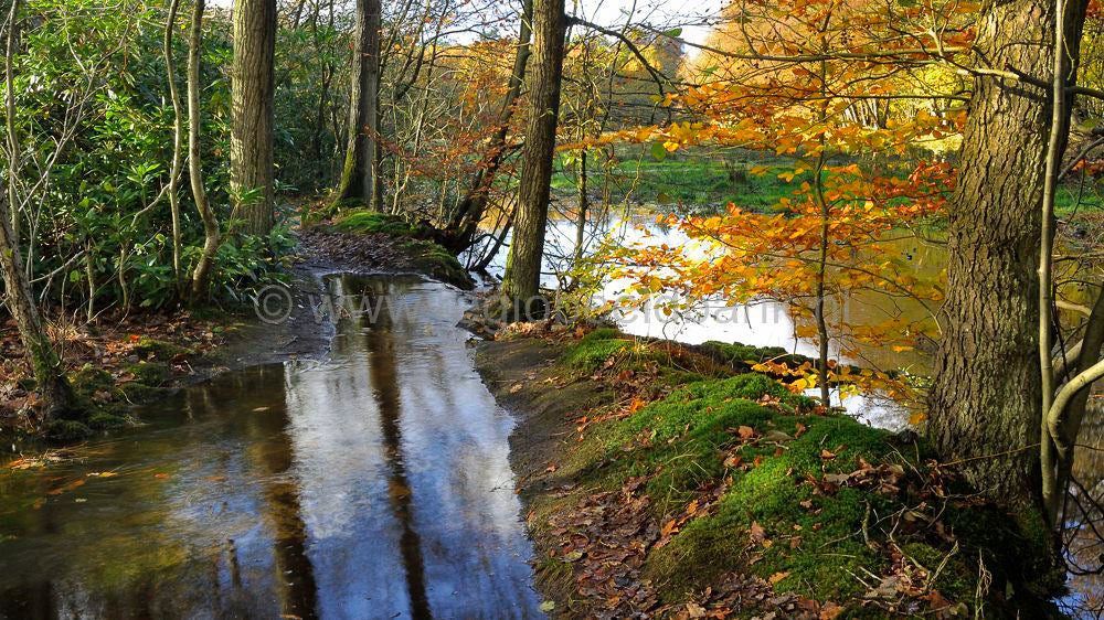 leuvenumsebeek_037.jpg