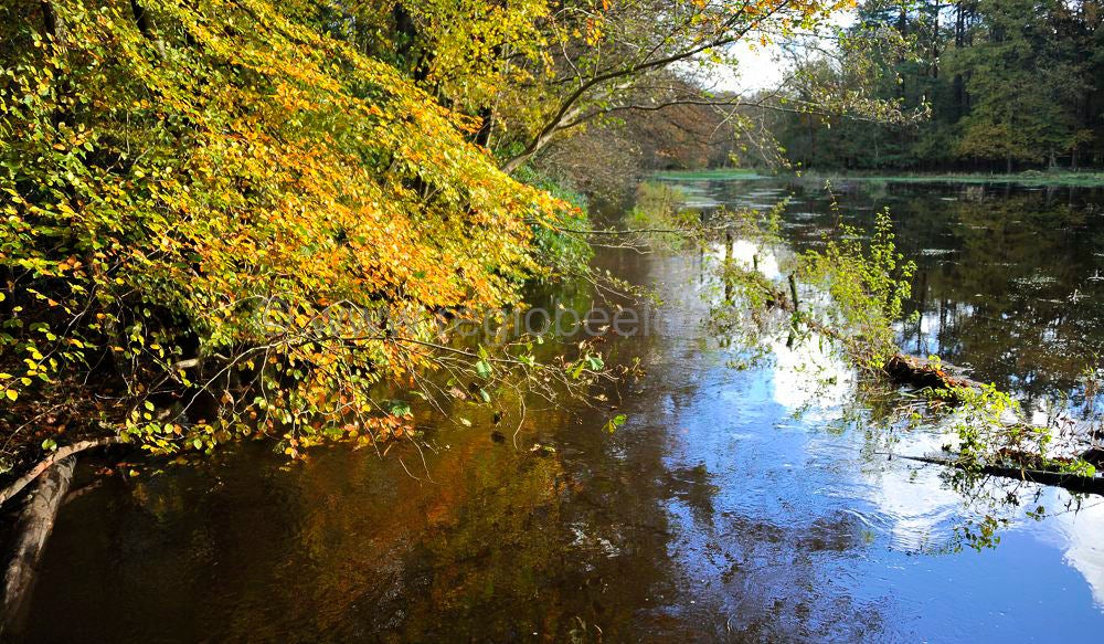 leuvenumsebeek_038.jpg