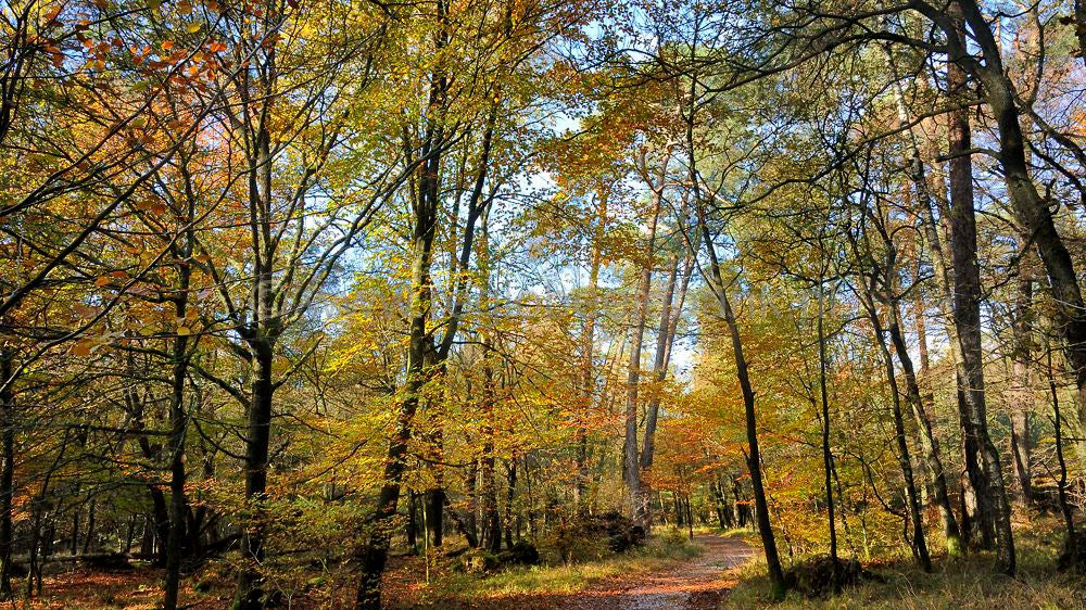 leuvenumsebeek_048.jpg