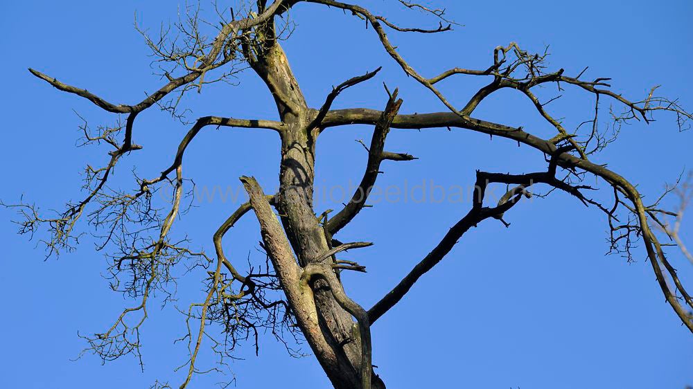 leuvenumsebeek_051.jpg
