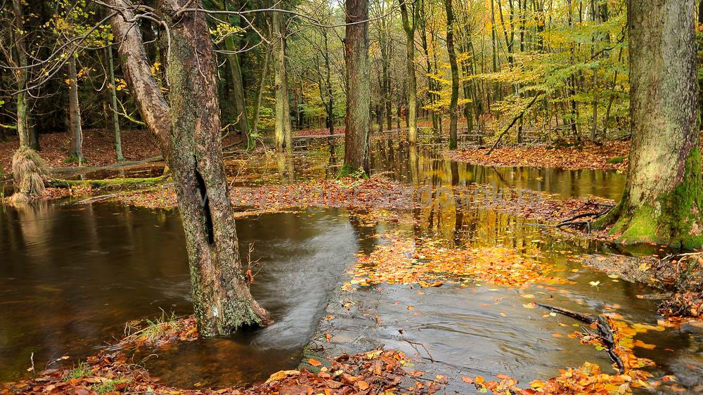 leuvenumsebeek_067.jpg