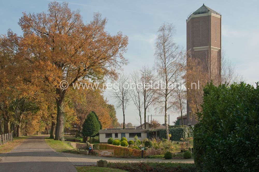 liniedijk_001a-1.jpg