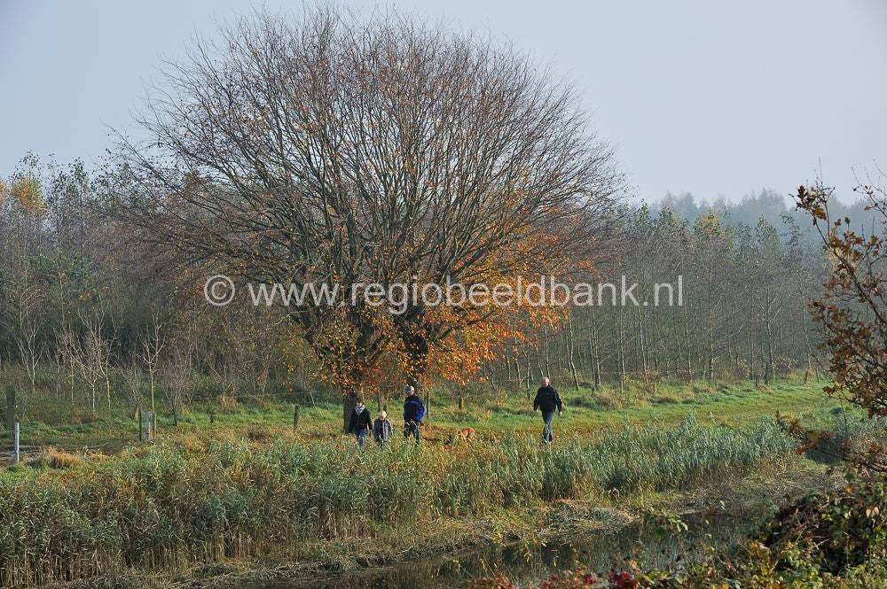 liniedijk_013.jpg