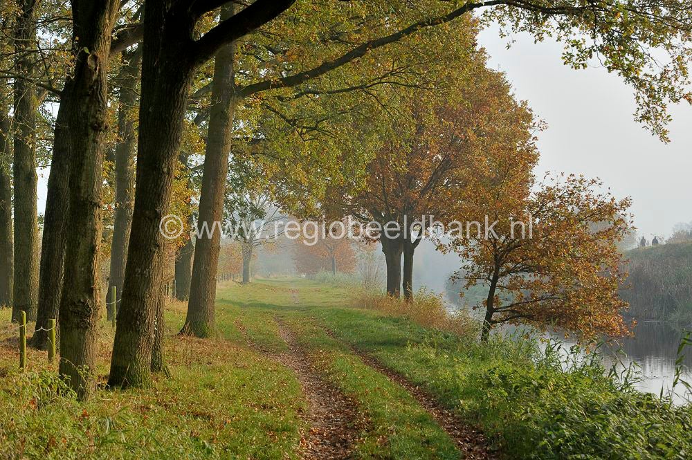 liniedijk_027.jpg