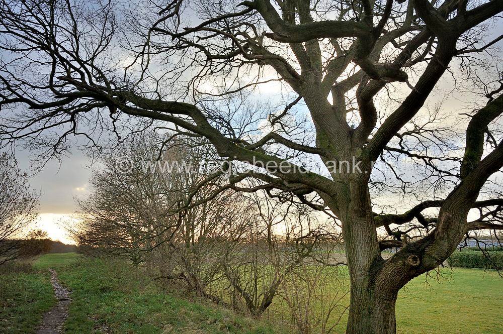 liniedijk_032.jpg
