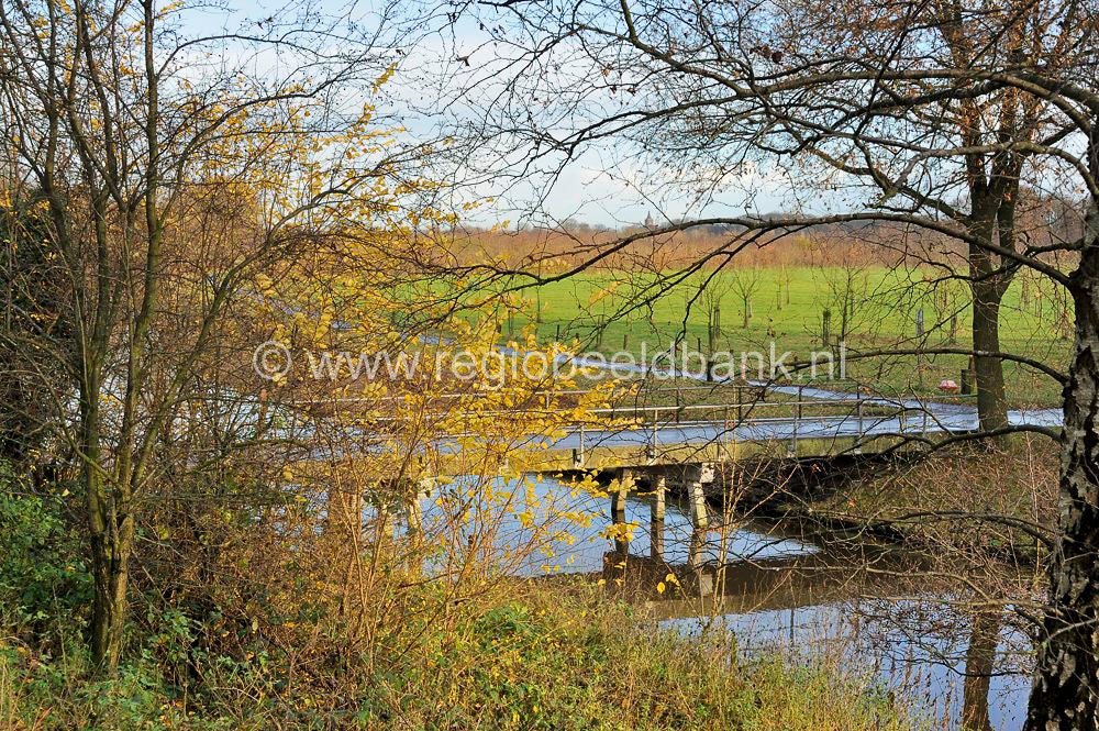 liniedijk_039.jpg