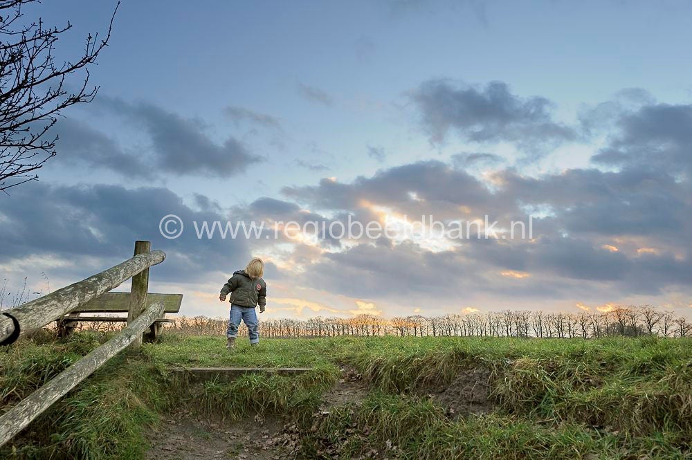 liniedijk_049.jpg