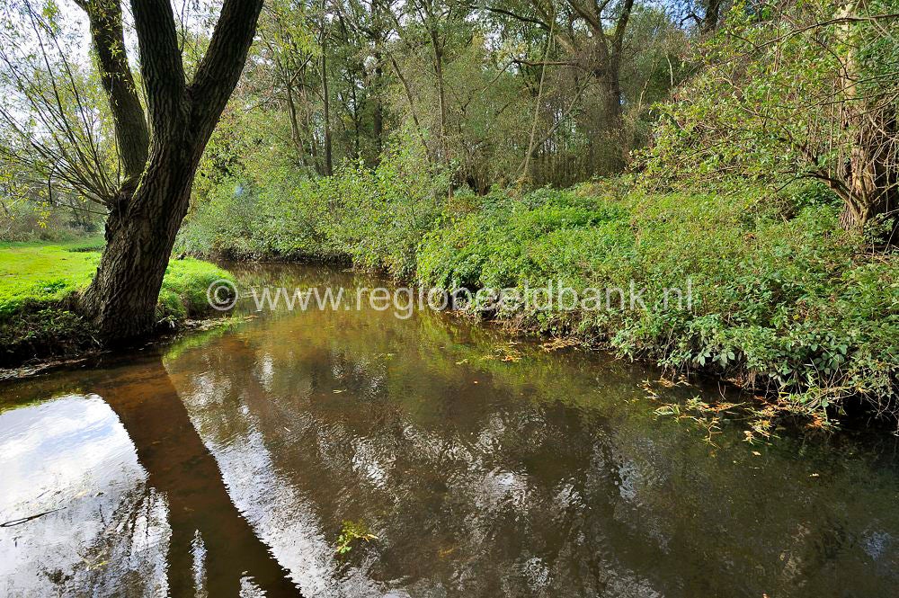 liniedijk_409.jpg