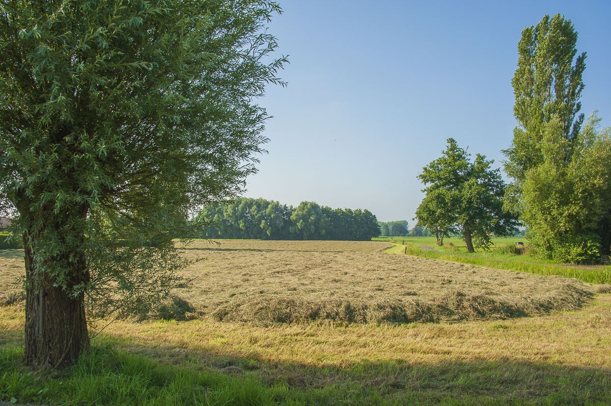 Loobrinkerpad Emst 16 06 2012