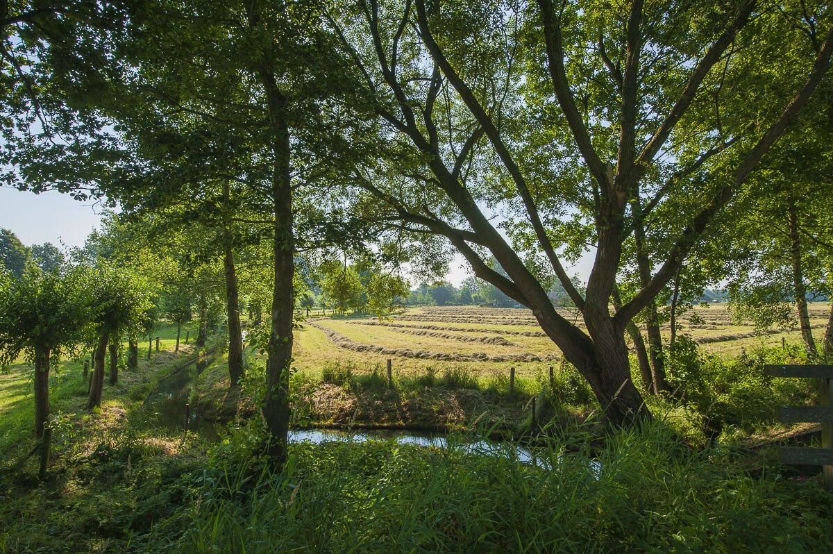 loobrinkerpad_013.jpg