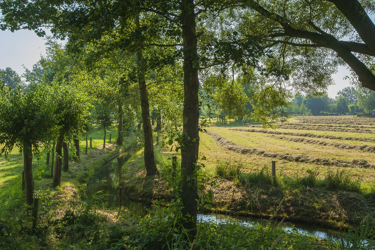 loobrinkerpad_014-1.jpg