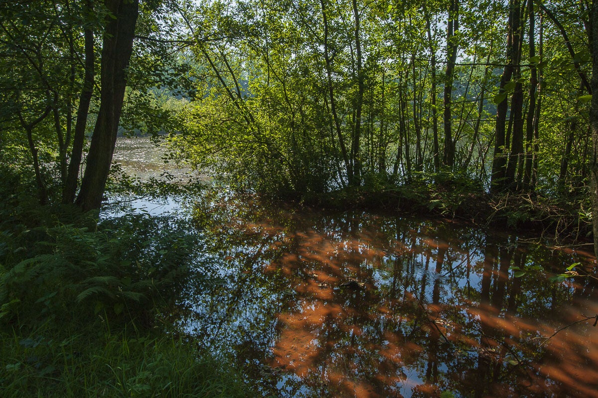 loobrinkerpad_020.jpg