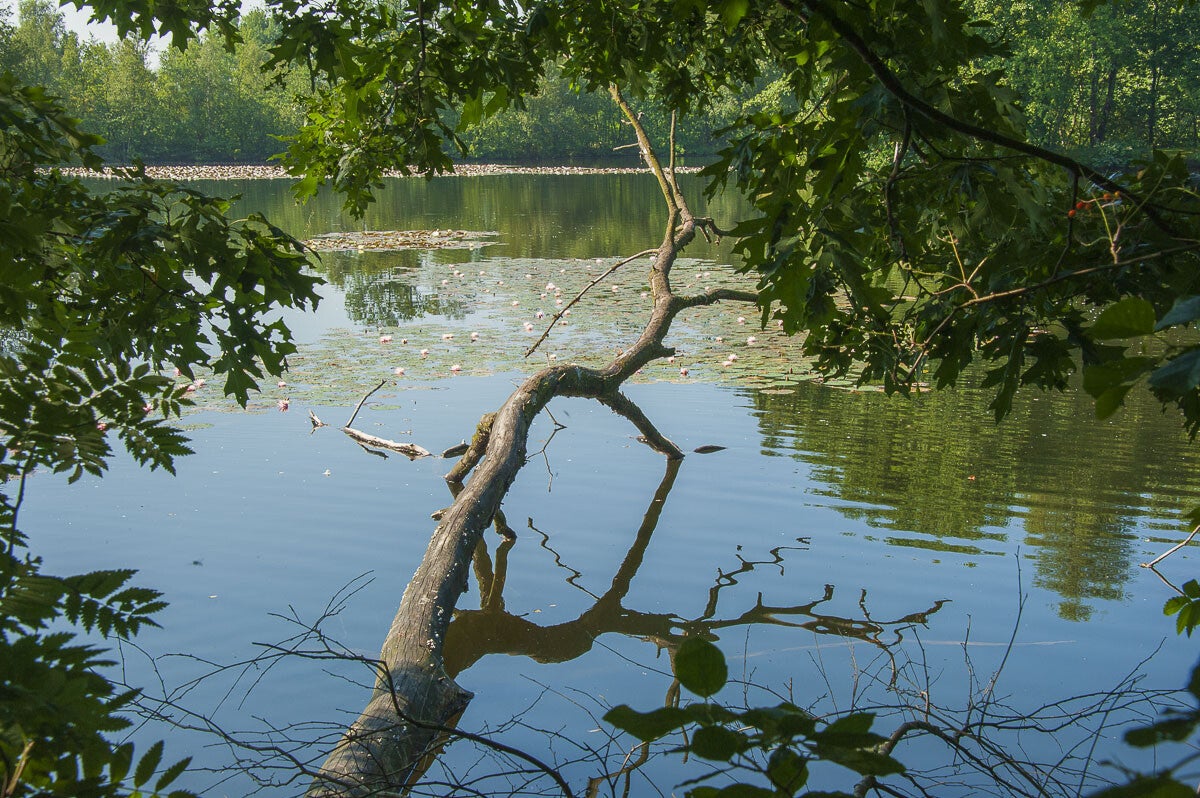 loobrinkerpad_021.jpg