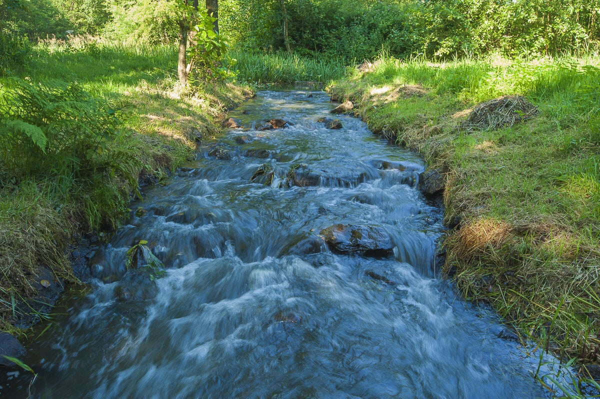 loobrinkerpad_025.jpg