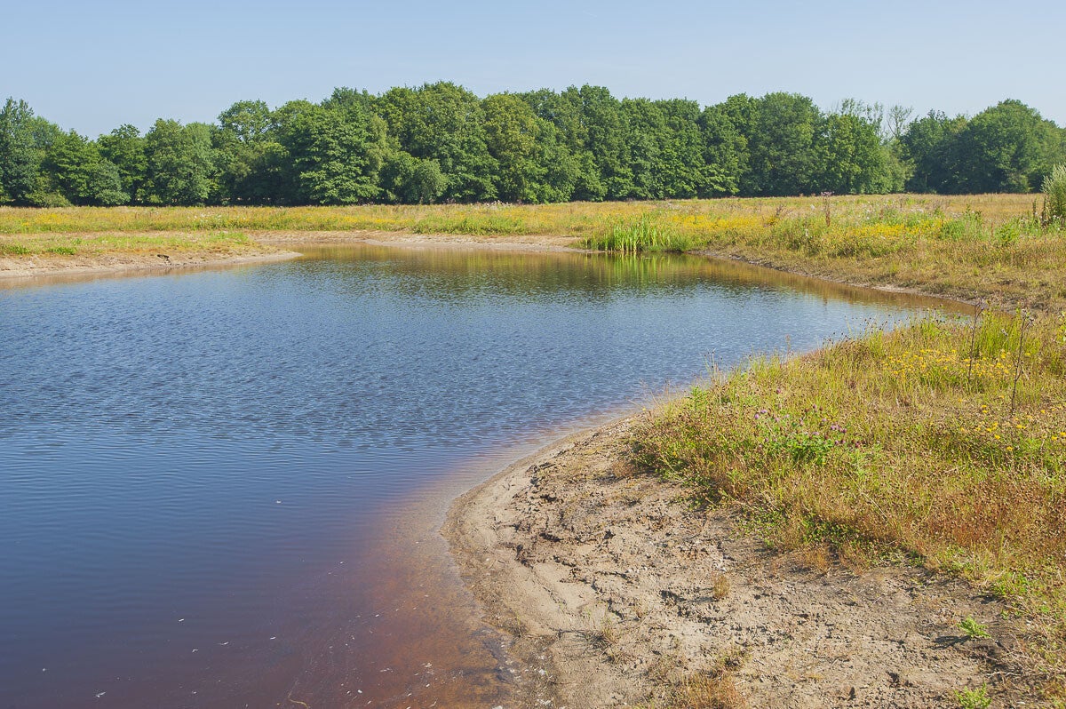 loobrinkerpad_028.jpg
