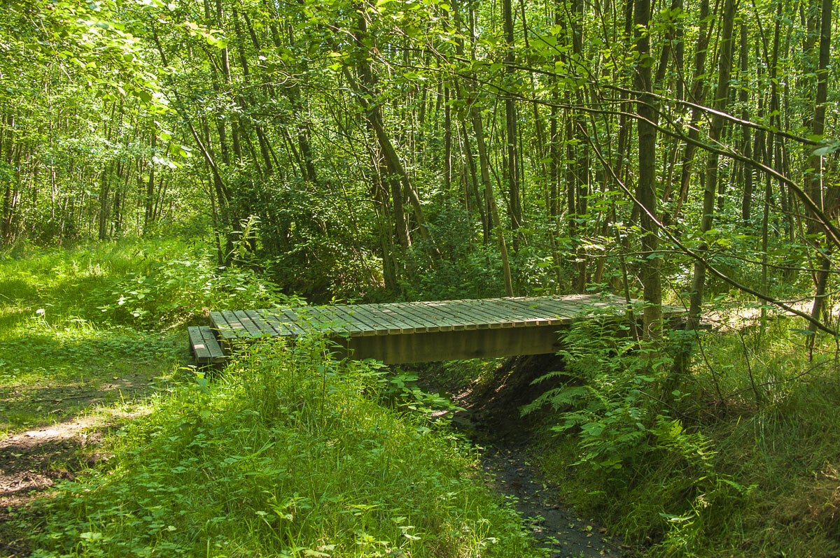 loobrinkerpad_036.jpg