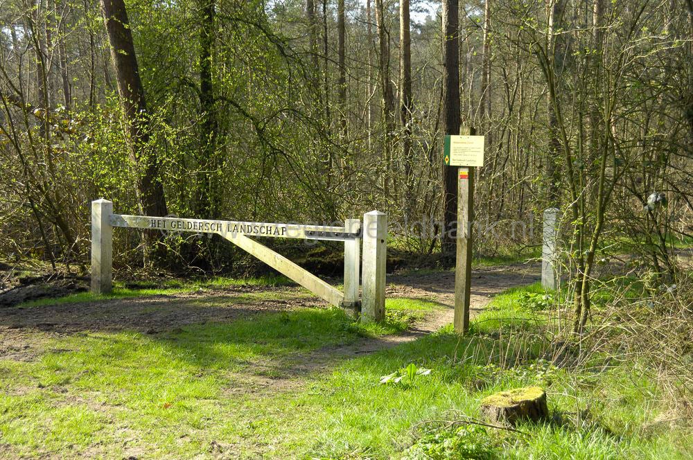 lunteren_045.jpg