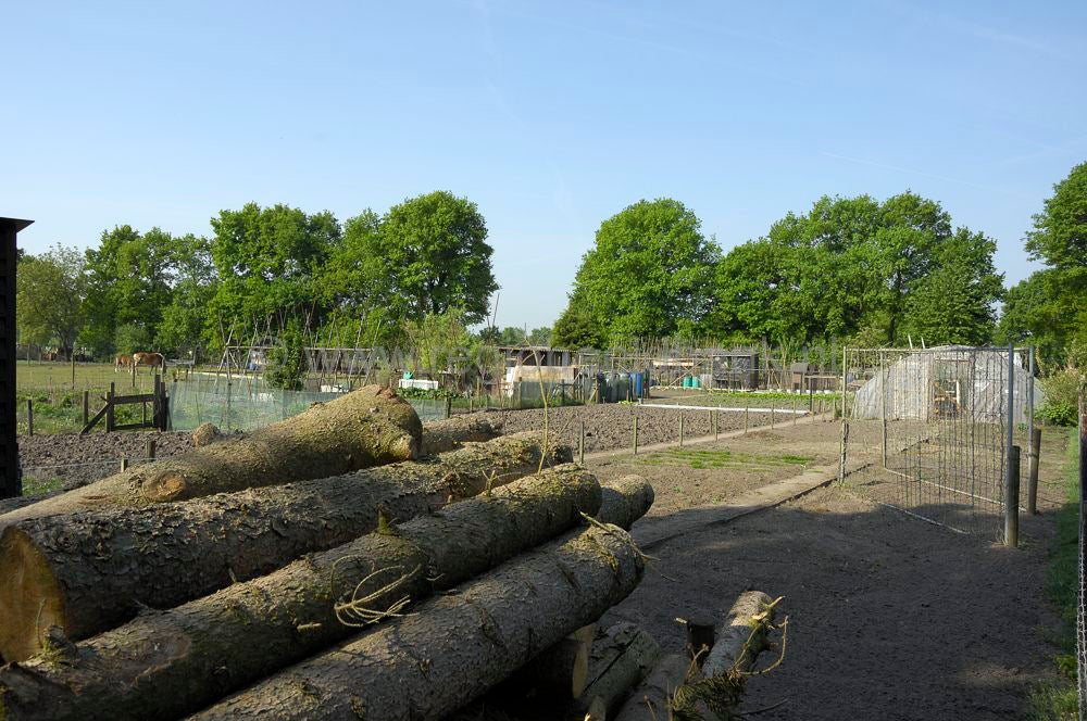 lunteren_098.jpg