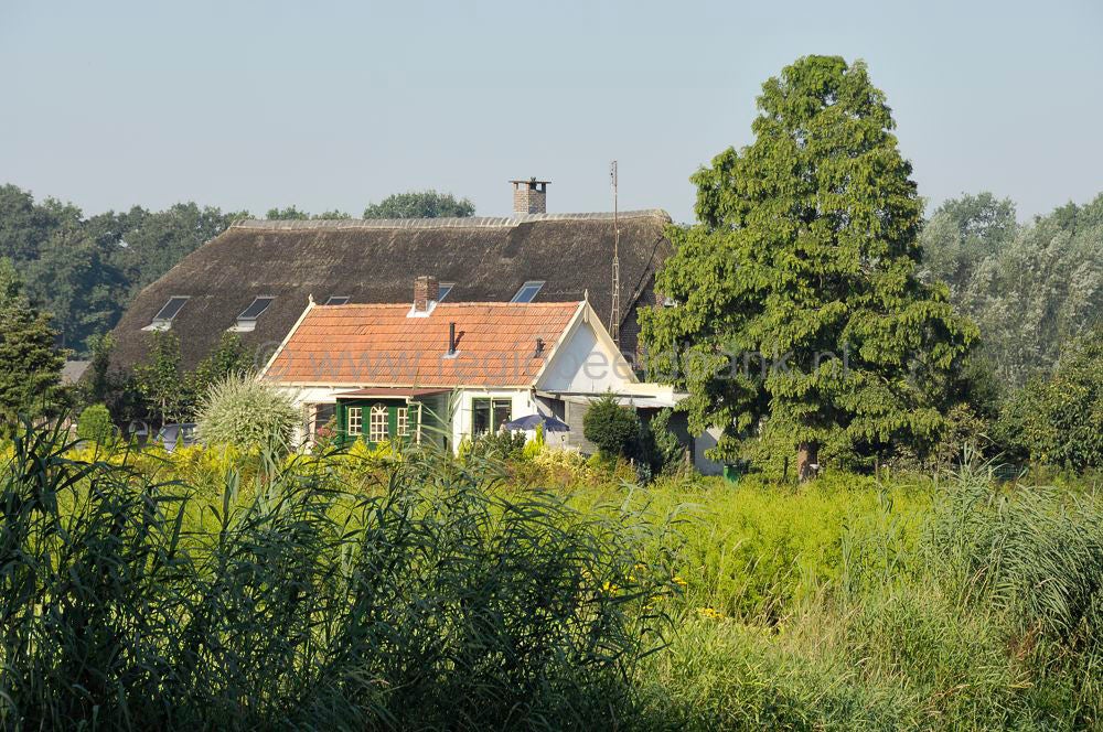 luntersebeek_020.jpg