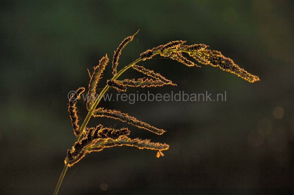 luntersebeek_031-1.jpg