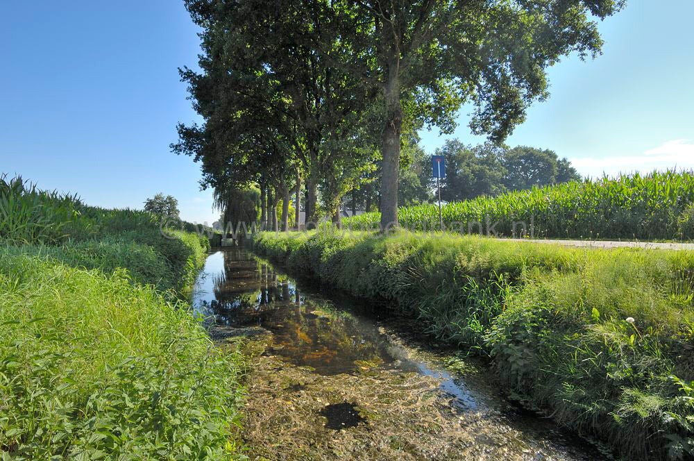 luntersebeek_055.jpg