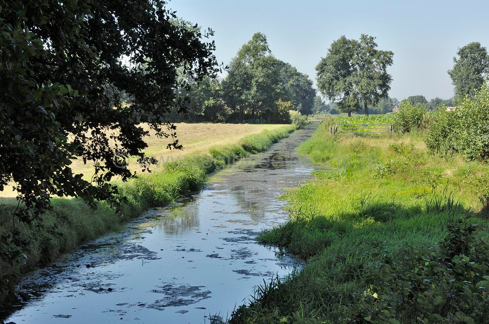 luntersebeek_062.jpg