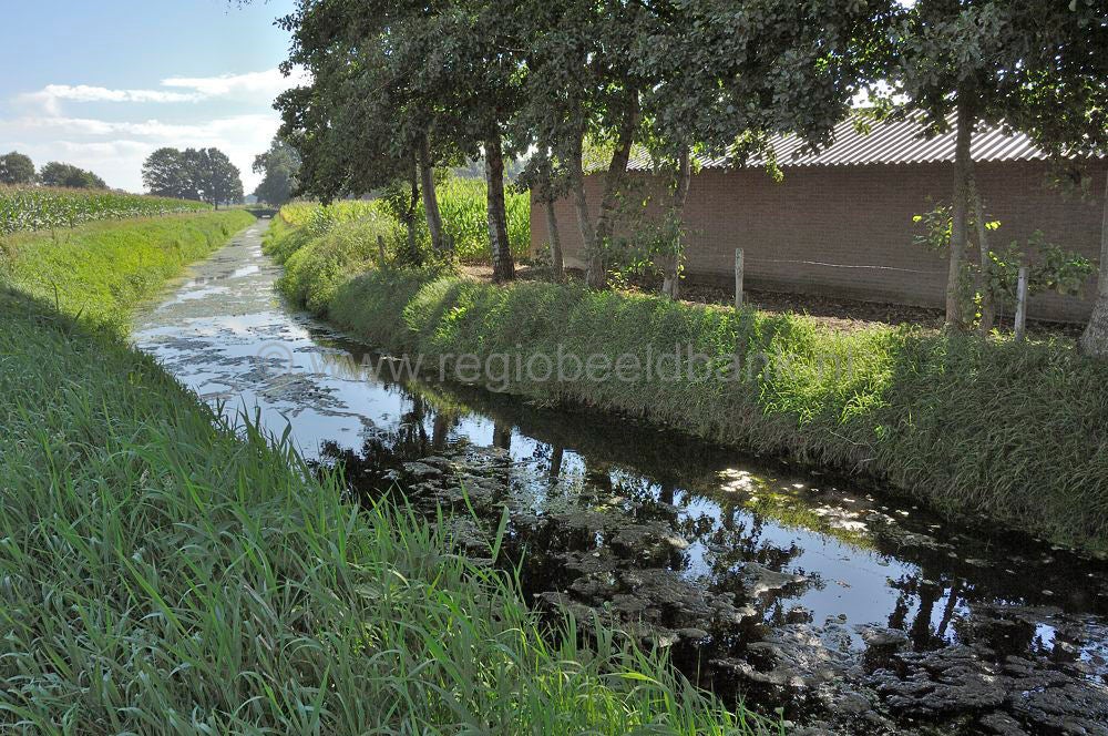 luntersebeek_065.jpg