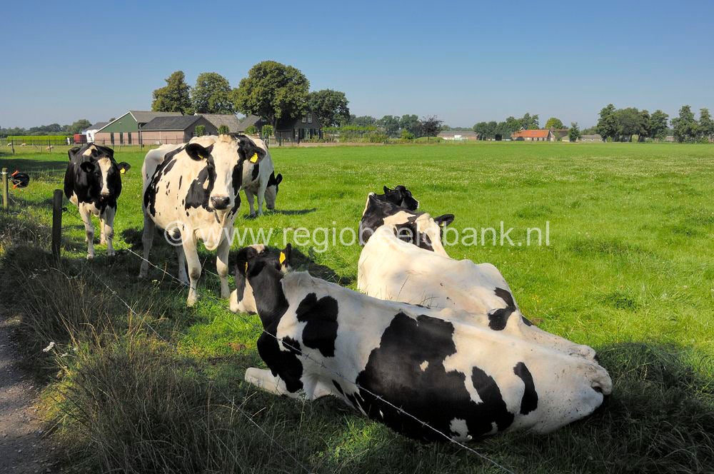 luntersebeek_066.jpg