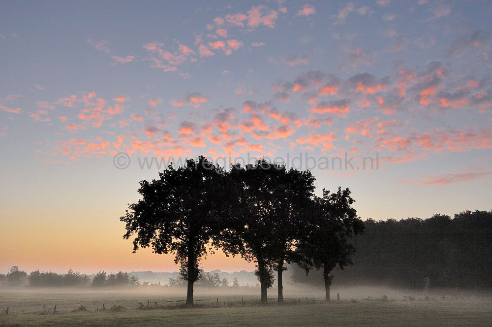 luntersebeek_108.jpg