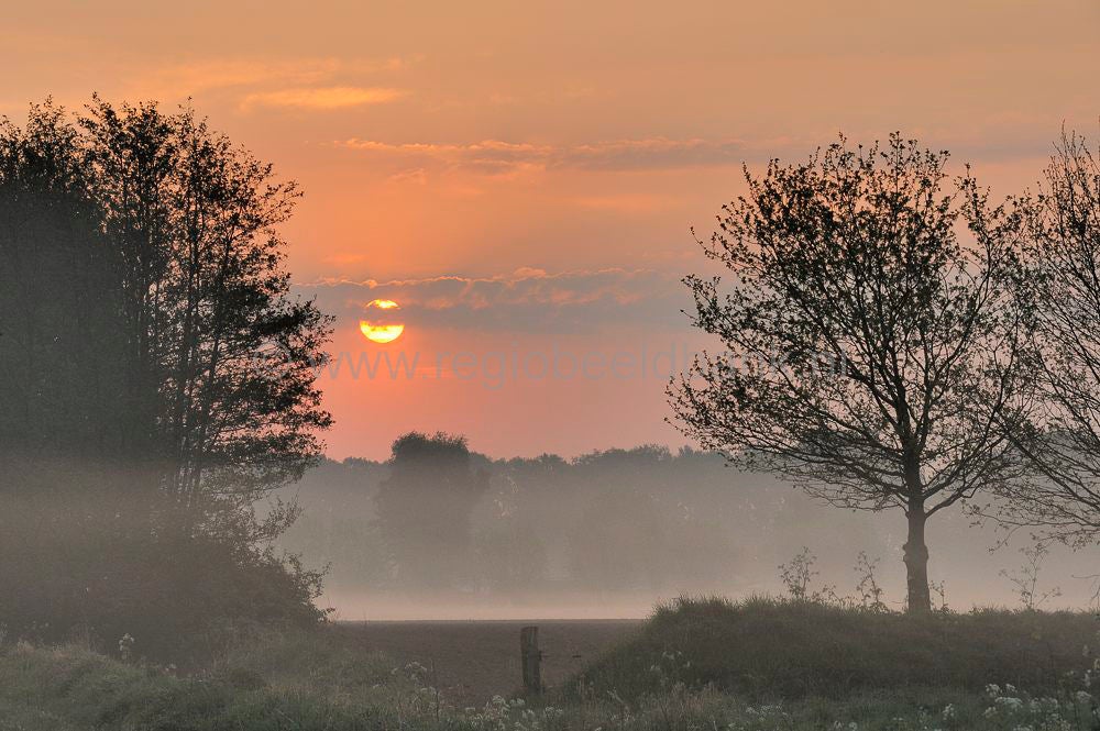 luntersebeek_213.jpg