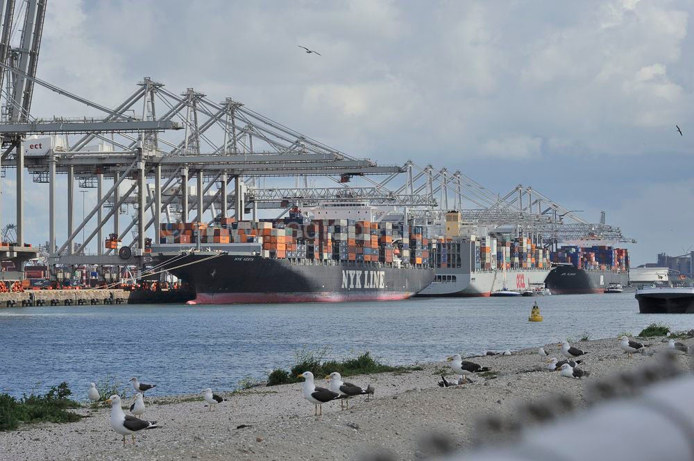 maasvlakte_1_004.jpg