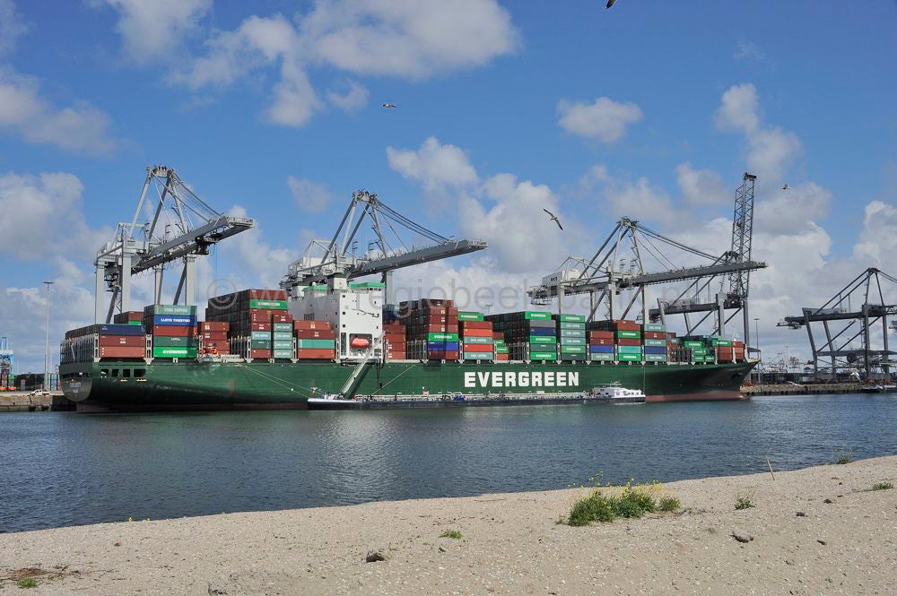 maasvlakte_1_005.jpg