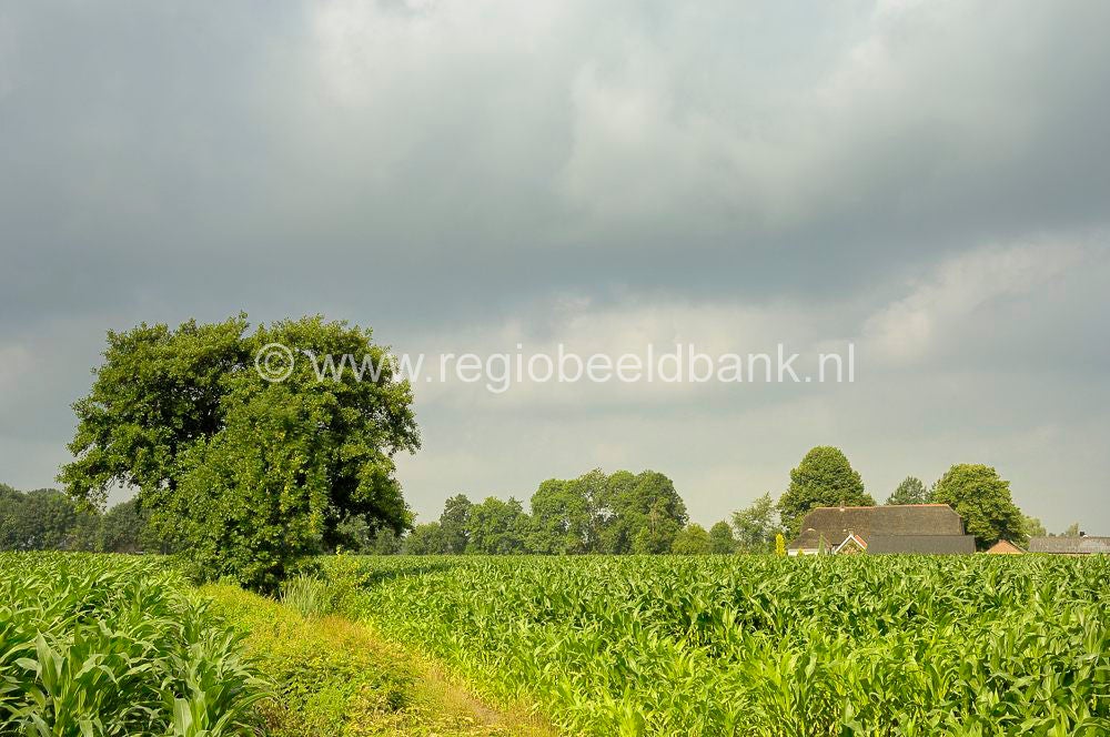 meulunterenpad_059.jpg