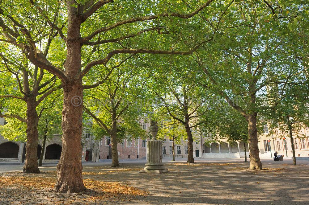 middelburg_018.jpg