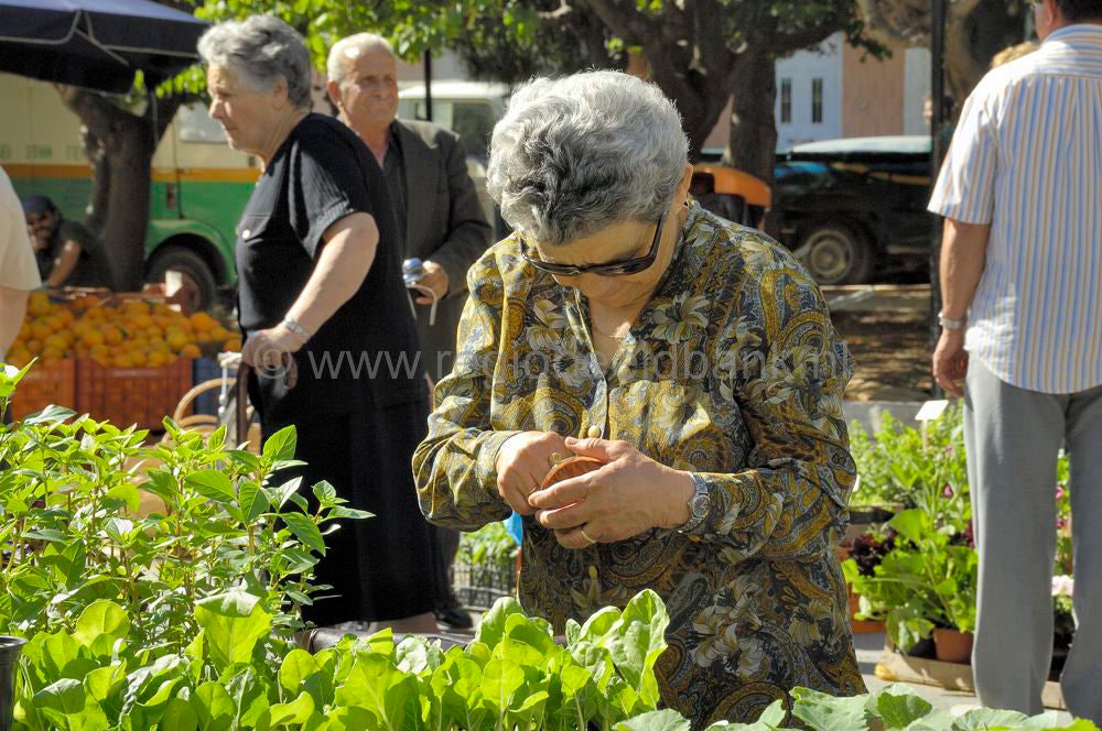 mires_market_484.jpg