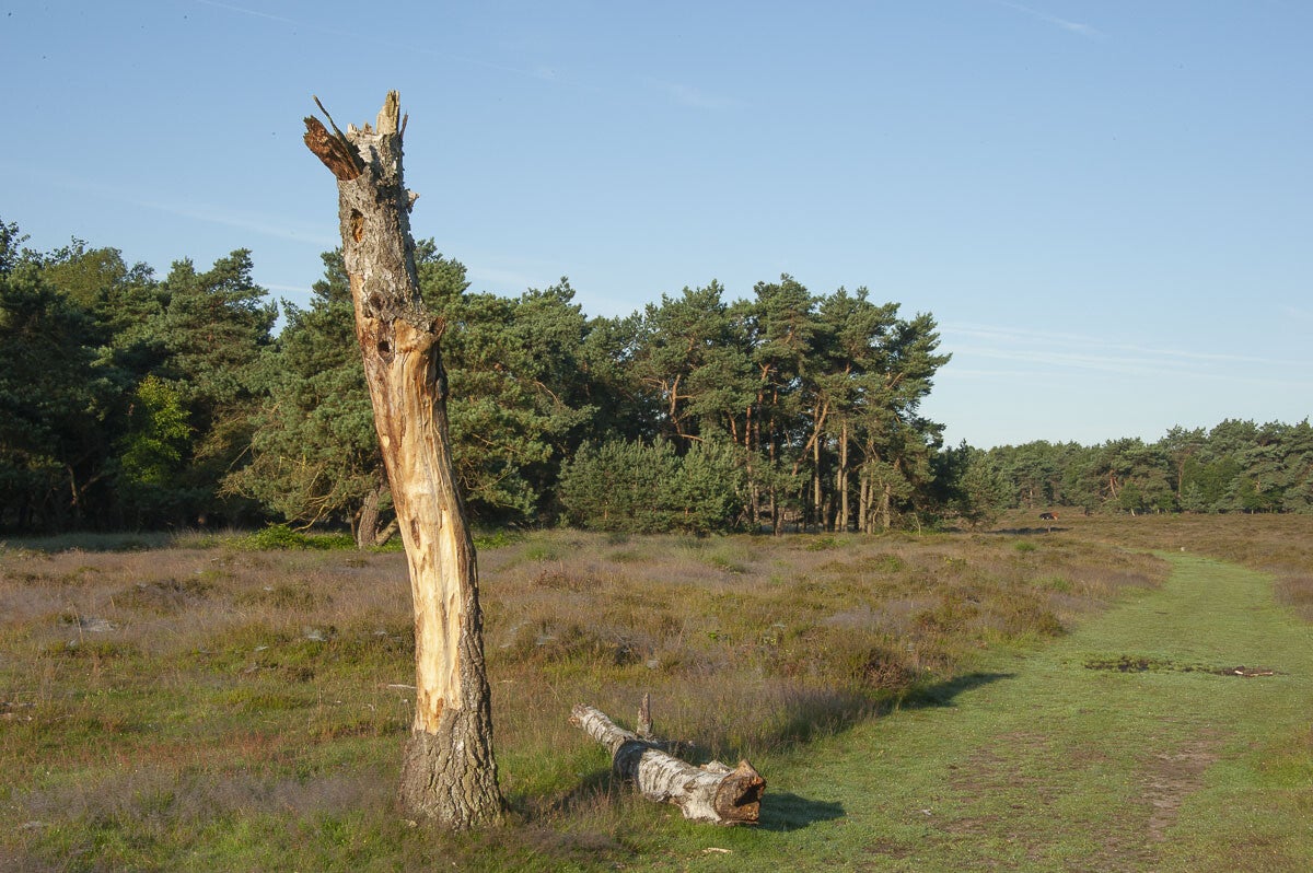 molenbeeksepad_012.jpg