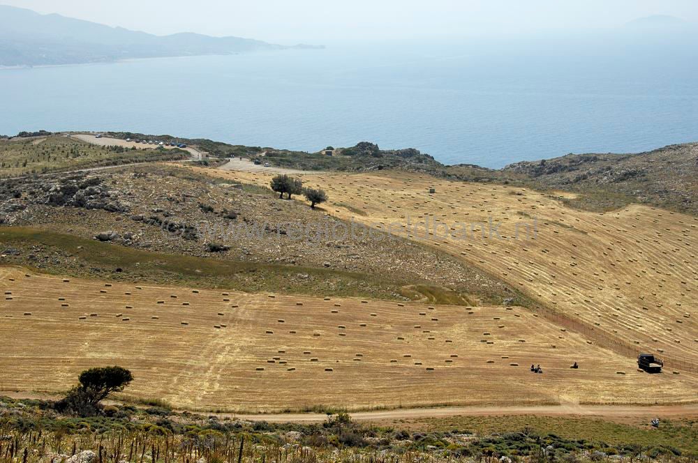 monipreveli_kreta_0760.jpg