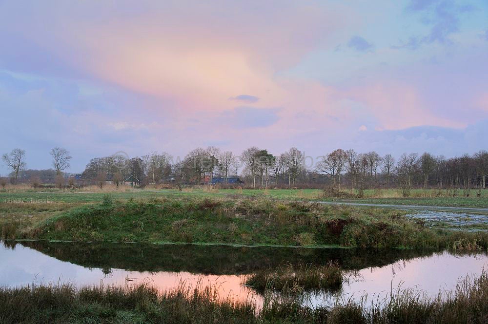 moorst_024_023.jpg