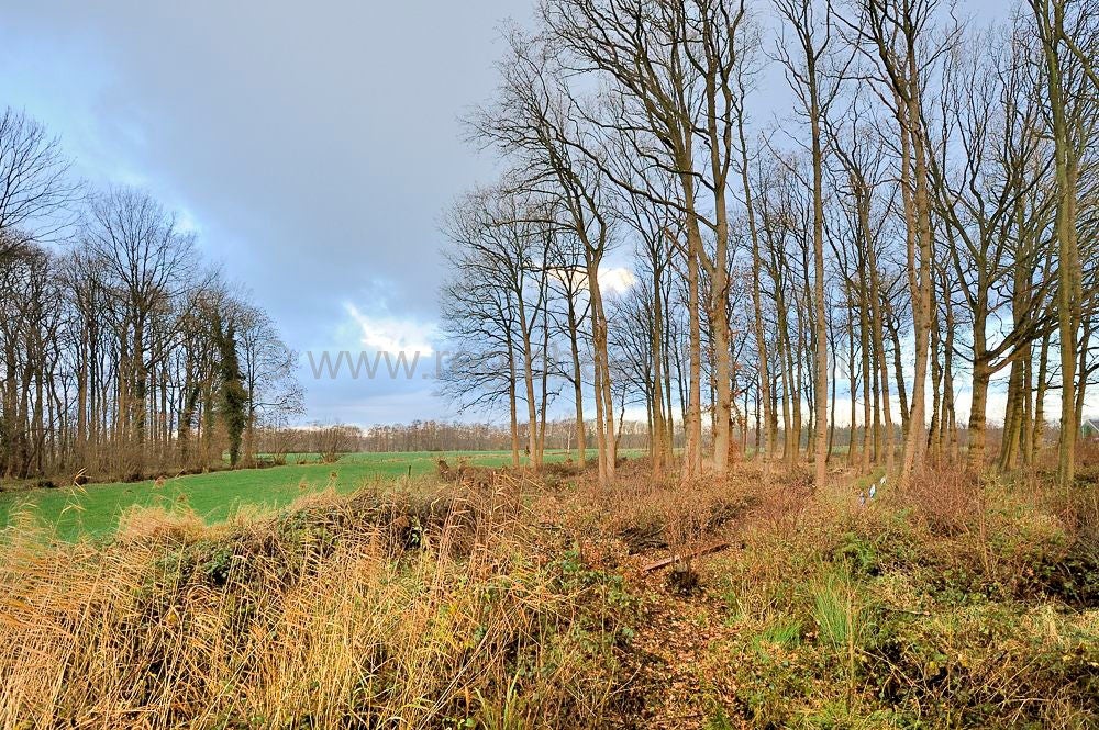 moorst_024_027.jpg