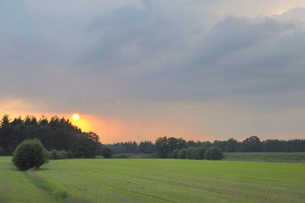 moorst__006.jpg