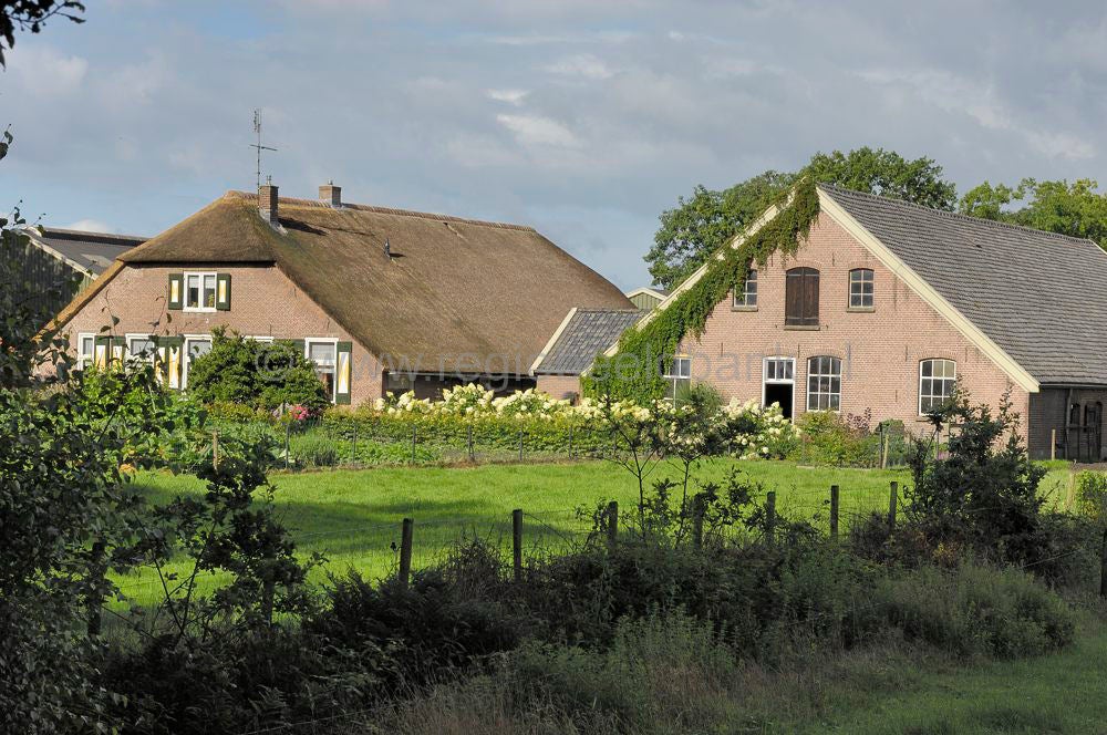 moorst__010.jpg
