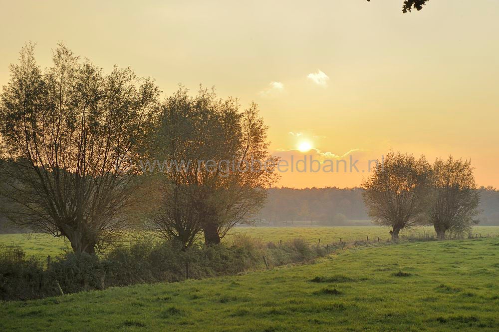 moorst__020.jpg